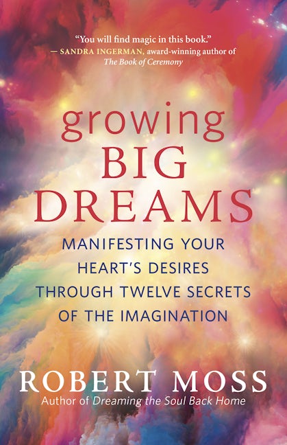 Book cover image for Growing Big Dreams ISBN: 9781608687046